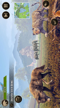 荒野豹家庭生活模拟游戏截图2