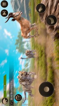 荒野豹家庭生活模拟游戏截图4