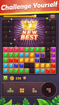 Block Puzzle Gem游戏截图1