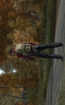 dayz独立版游戏截图4