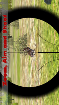 丛林狙击手狩猎  猎杀野生丛林动物游戏截图1