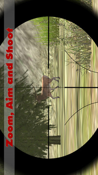 丛林狙击手狩猎  猎杀野生丛林动物游戏截图3