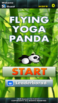 瑜伽熊猫游戏截图3