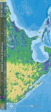 dummynation游戏截图1