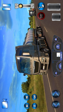 Truck Cargo Sim 2022游戏截图3