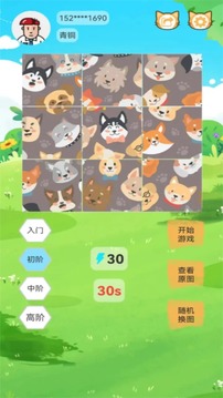 宠物乐拼图游戏截图3