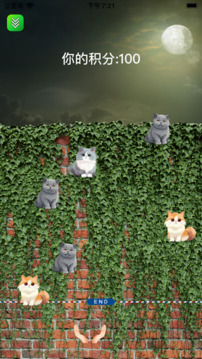 嗨猫猫游戏截图4