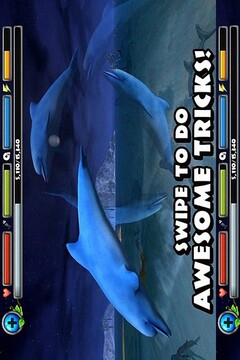 海豚模拟3D游戏截图1