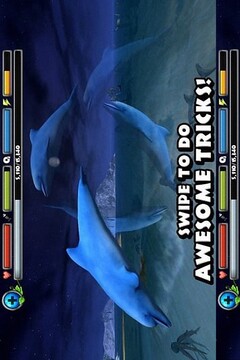 海豚模拟3D游戏截图3