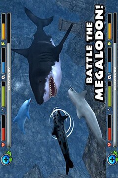 海豚模拟3D游戏截图2