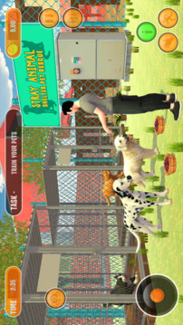 Pet Animal Shelter Simulator游戏截图5