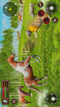 Stallion Wild Horse Simulator游戏截图3