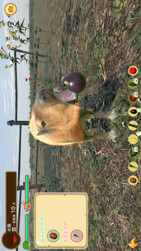 Capybara Spa游戏截图4