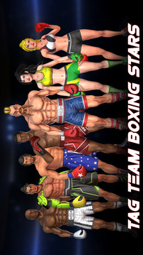 Boxing Games  Ko Kickboxing游戏截图3