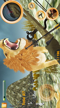 狮子狩猎在丛林2017年游戏截图2
