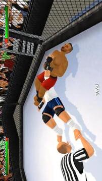 摔跤革命3D游戏截图1