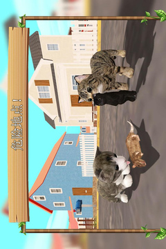 在线模拟猫游戏截图5