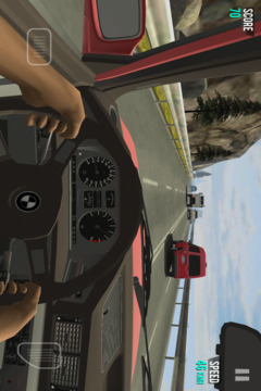 竞速汽车游戏截图1