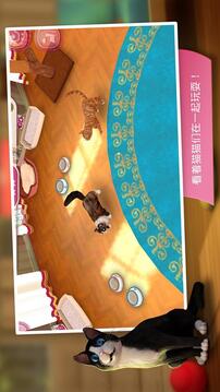 猫咪宾馆游戏截图2
