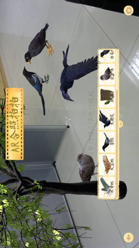 AR生态趣游戏截图1