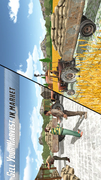Real Farming Tractor Sim 2016游戏截图4