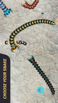 Snake Games游戏截图4