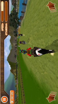 Ultimate Horse Race Champion游戏截图3