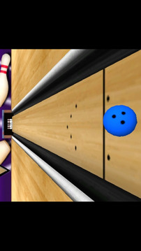 Bowling 3D Pro游戏截图3