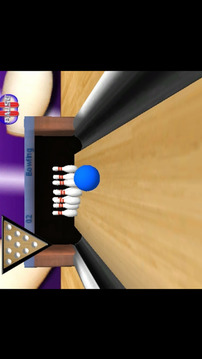 Bowling 3D Pro游戏截图1