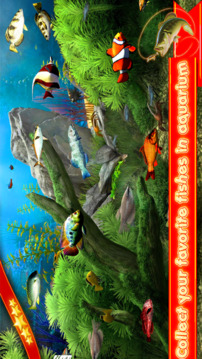 Hook Hunter Fishing Games 3D游戏截图2