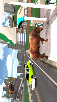 Crazy Angry Bull Attack 3D Run Wild and Smash游戏截图4