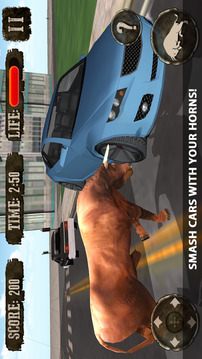 Crazy Angry Bull Attack 3D Run Wild and Smash游戏截图3