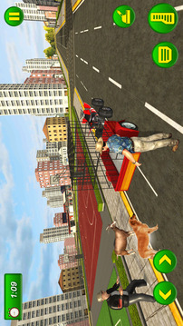 Pet Transport  Atv Dog Game游戏截图5