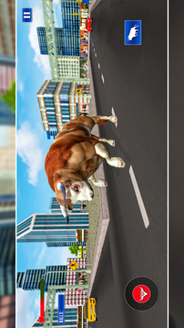 Wild angry Bull Attack Game 3D游戏截图3