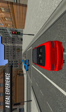 City Car Driving游戏截图2