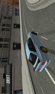 City Car Driving游戏截图3