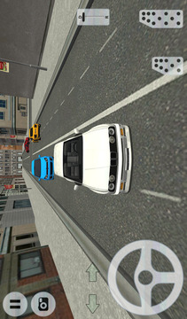 City Car Driving游戏截图5