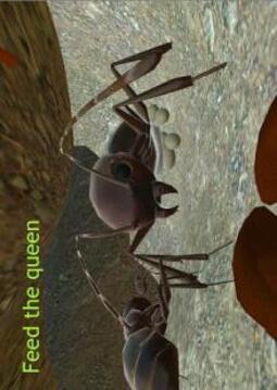 Ant Simulation 3D - Insect Survival Game游戏截图5