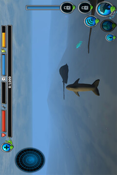 海豚模拟生存游戏截图2