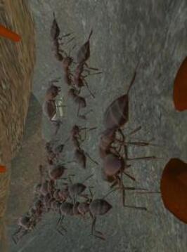 Ant Simulation 3D - Insect Survival Game游戏截图1