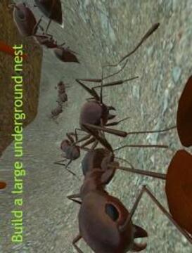 Ant Simulation 3D - Insect Survival Game游戏截图4