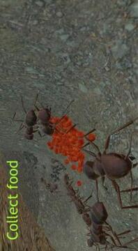 Ant Simulation 3D - Insect Survival Game游戏截图3