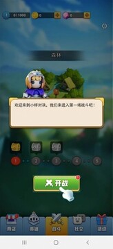 皇家决斗游戏截图5