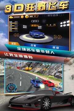 3D狂野飞车（炫版）游戏截图2