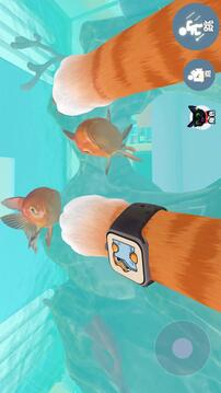 我是一只猫游戏截图2