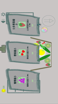 水果肉鸽游戏截图2