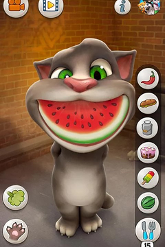 会说话的汤姆猫游戏截图4