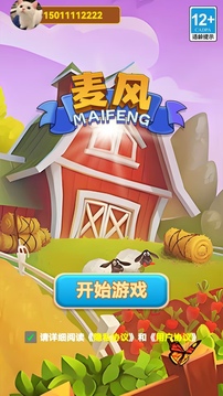 麦风游戏截图3