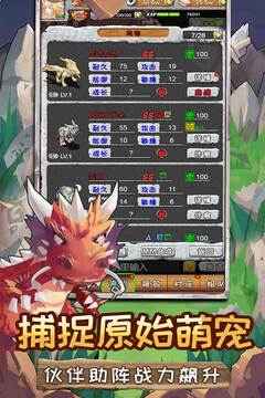 顽石英雄手游版01游戏截图2