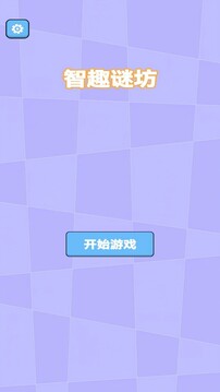 智趣谜坊游戏截图2